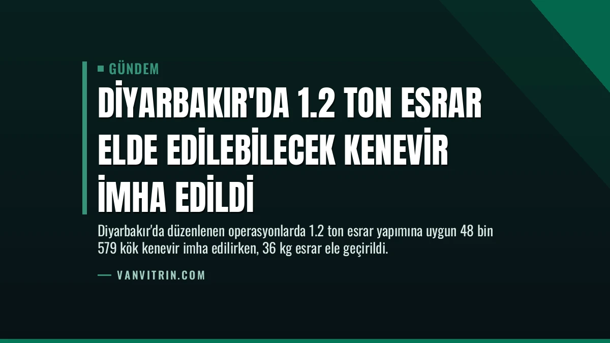 Diyarbakır’da 1.2 Ton Esrar Elde Edilebilecek Kenevir İmha Edildi