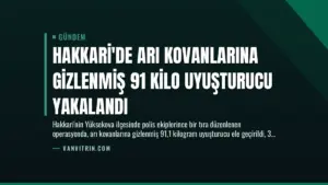 Hakkari’de Arı Kovanlarına Gizlenmiş 91 Kilo Uyuşturucu Yakalandı
