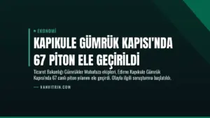 Kapıkule Gümrük Kapısı’nda 67 Piton Ele Geçirildi
