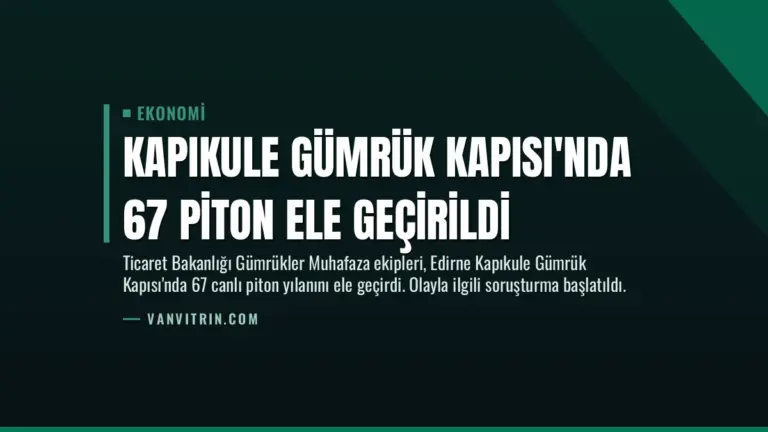 Kapıkule Gümrük Kapısı’nda 67 Piton Ele Geçirildi