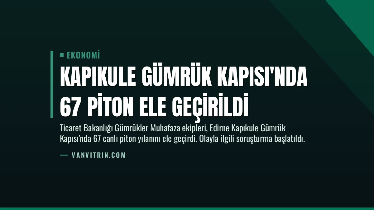Kapıkule Gümrük Kapısı’nda 67 Piton Ele Geçirildi