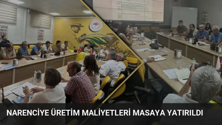 Narenciye Üretim Maliyetleri Masaya Yatırıldı