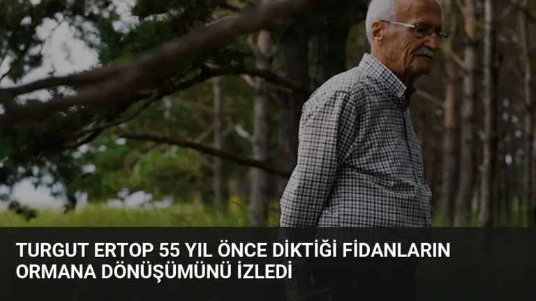 Turgut Ertop 55 Yıl Önce Diktiği Fidanların Ormana Dönüşümünü İzledi