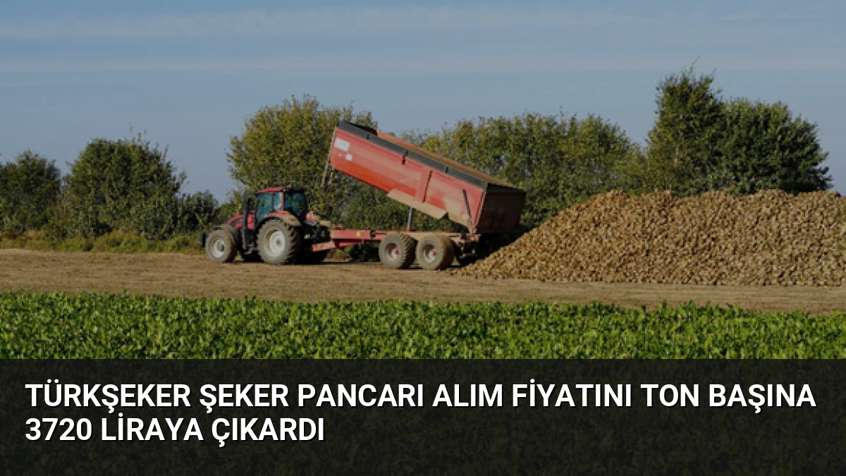 Türkşeker Şeker Pancarı Alım Fiyatını Ton Başına 3720 Liraya Çıkardı