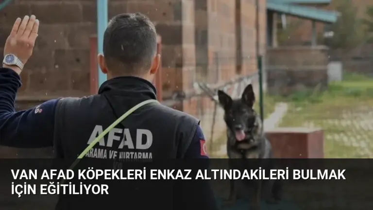 Van AFAD Köpekleri Enkaz Altındakileri Bulmak İçin Eğitiliyor
